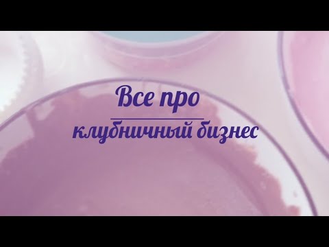 Видео: Клубника в шоколаде|Как начать клубничный бизнес🍓 закупки🍫Бизнес🍓 Без тайн