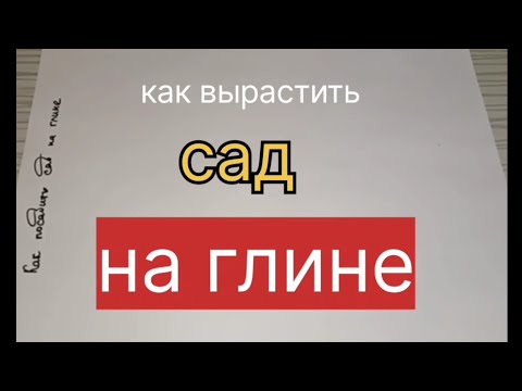Видео: как вырастить сад на глине