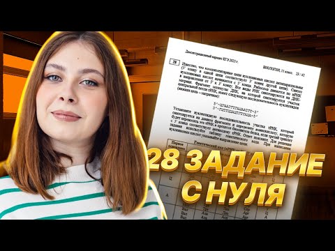 Видео: 28 задание на ЕГЭ по биологии с 0 | Биология ЕГЭ для 10 класса | Умскул