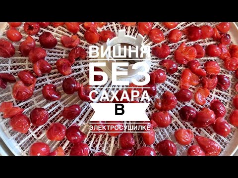 Видео: ИЗЮМ ИЗ ВИШНИ.СУШИМ НА ЗИМУ ВИШНЮ В ЭЛЕКТРОСУШИЛКЕ