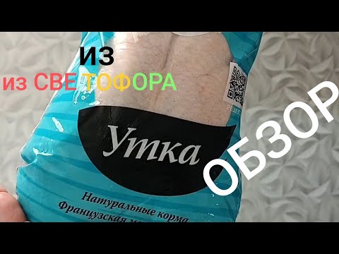 Видео: Утка из светофора - обзор не купленный !