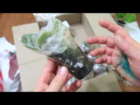 Видео: ЧУДОМ УЦЕЛЕВШИЕ ГЛОКСИНИИ. Распаковка. Первая посылка с глоксиниями