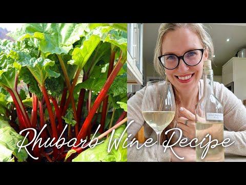 Видео: Простой рецепт вина из ревеня (полная инструкция)