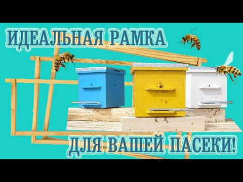 Видео: Идеальная рамка для вашей пасеки! | The perfect bee frame for your apiary!