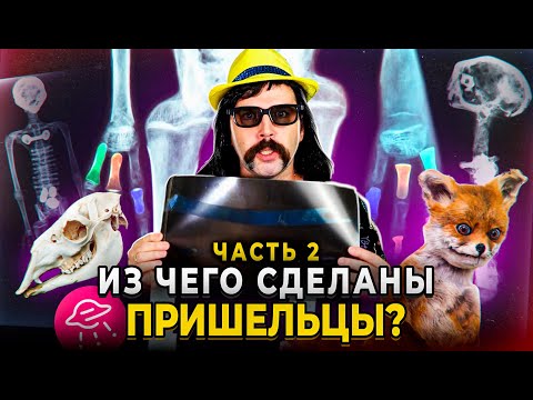 Видео: Нелюди в разрезе. Мумии гуманоидов Наска: большая афера. Серия-2 | Прожектор Лженауки