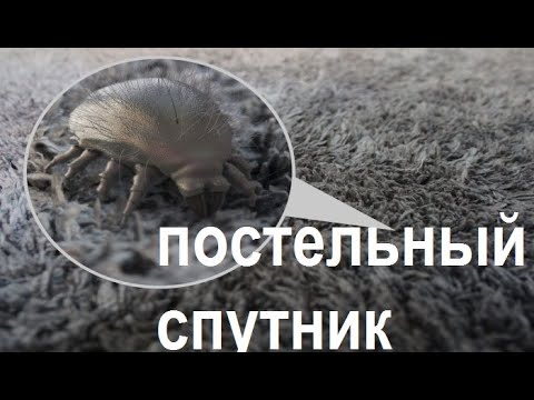 Видео: Шок. утром встал, уже устал. Как любимая постель, разрушает здоровье и лишает  сна?   О.Ф.