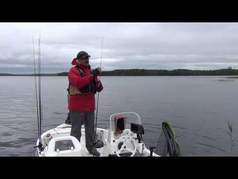 Видео: Мультипликаторная катушка и спинниг - собираем комплект