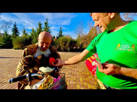 Видео: Люся встретилась с Олегом Зубковым после прогулки, на это можно СМОТРЕТЬ ВЕЧНО)))