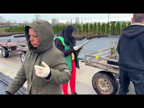 Видео: Строим питомник растений 7А вместе с Евгением Олейником. Часть 2.