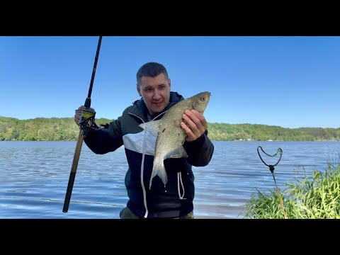 Видео: Рыбалка на реке. Лещ не клюёт на фидер, Что делать?