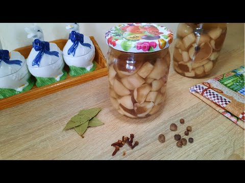 Видео: Ідеальний маринад. Лісові гриби. Маслюки.