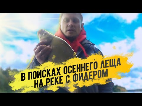 Видео: Фидер. В поисках осеннего леща на реке.