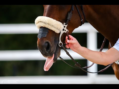 Видео: Максима-обзор. Выпуск 4