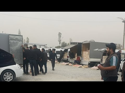 Видео: БУГУН БОЗОР ЧАҚҚОН Хурмо Бехи Анор Узум нархлари