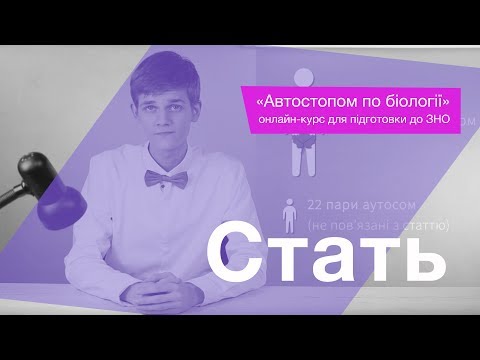 Видео: Стать – Підготовка до ЗНО – Біологія