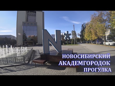 Видео: Новосибирский академгородок. Прогулка. Белки, утки, памятники и лучшие места. 4K