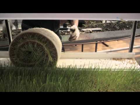 Видео: Антикризисное решение для крестьянских хозяйств!