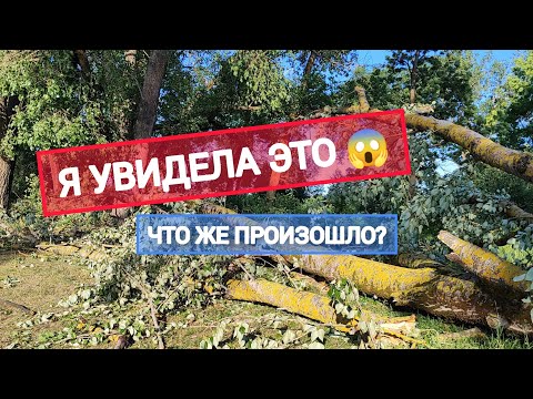 Видео: ПЕЧАЛЬНЫЕ ПОСЛЕДСТВИЯ | ЧТО ЭТО БЫЛО? | ДАУГАВПИЛС 2024