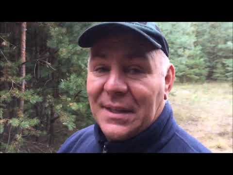 Видео: А 0 на 32 грамма Тест Лёшиного ружья!