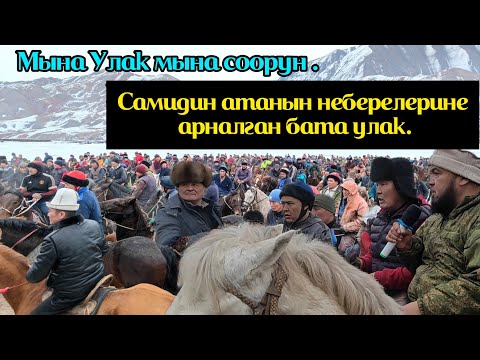 Видео: Өтө күчтүү улак болду. Нурбектин чечими баарын таң калтырды.
