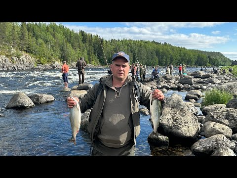 Видео: Умба 2023 | Рыбалка на Кольском полуострове | Ловля горбуши на поплавочную удочку