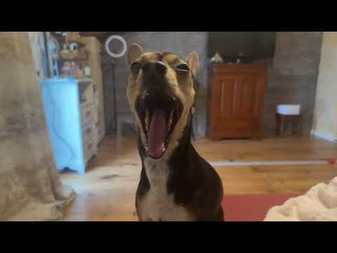 Видео: Обзорщица Марьям ПроБлогеров  . Кто ее породил и зачем она нужна этому миру ? #сплетники #сплетни