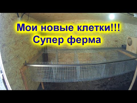 Видео: Мои полупромышленные клетки для кроликов !!! ПЕРВЫЙ ОПЫТ !!!!!