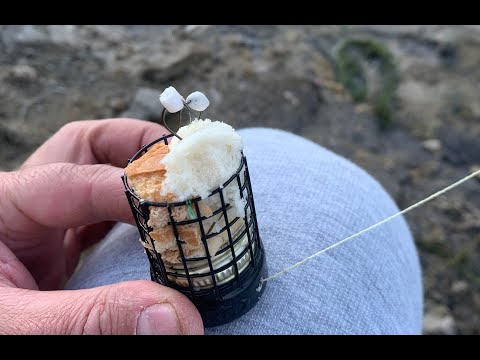 Видео: Хлебный КОЛОДЕЦ на КАРАСЯ