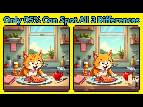 Видео: Только 0,5% могут найти все 3 отличия на изображениях кошек