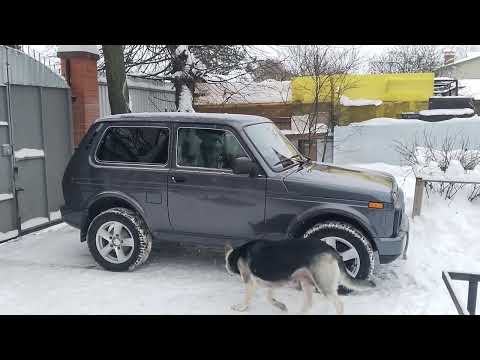 Видео: Нива Урбан. Реальный пробег.