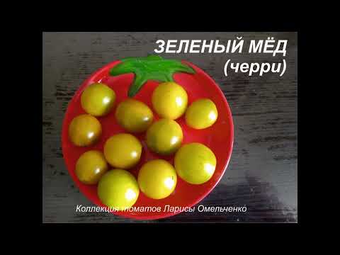 Видео: Каталог на 2026 год. Новые сорта томатов в моей коллекции. 