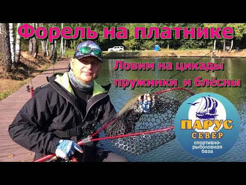 Видео: Ловля  форели на спортзоне СРБ "Парус Север"