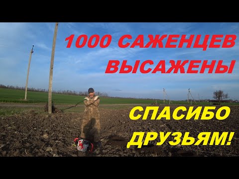 Видео: 65. КУПИЛИ УСАДЬБУ, ВОССТАНАВЛИВАЕМ! Помощь друзей БЕСЦЕННА!