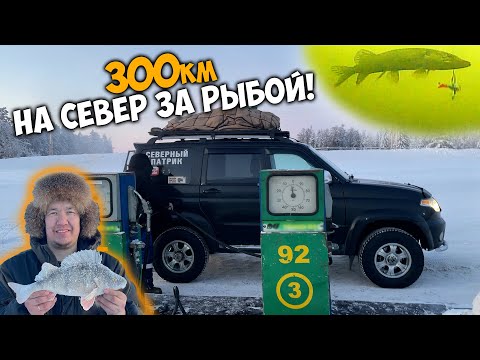 Видео: 300км на УАЗе патриот за рыбой на СЕВЕР!