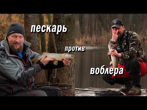 Видео: Осенний жор у щуки! На что лучше - живец или воблер?