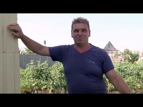 Видео: Саша Маскин часть4