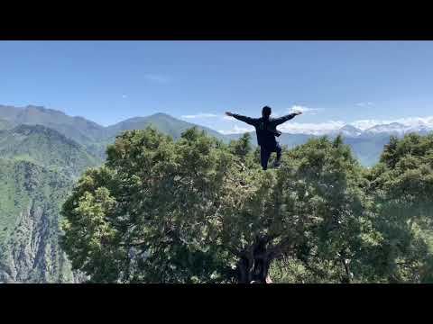 Видео: ЖАЙЛОО //АЛАЙ//АРПАТЕКТИР #алай #жайлооэсалуу #тоолор #гульча