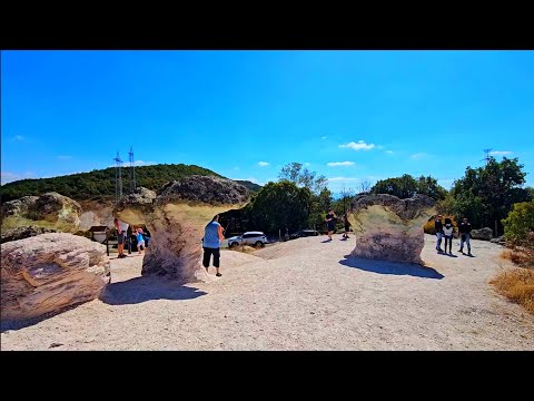 Видео: Каменните гъби