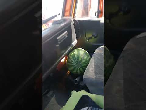 Видео: Остановился за арбузом🍉🍉🍉 на КАМАЗе  #камаз #automobile #дальнобой #грузоперевозки