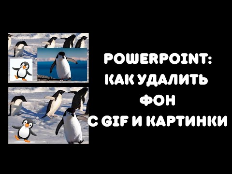 Видео: Powerpoint: как удалить фон с картинки и gif-ки?