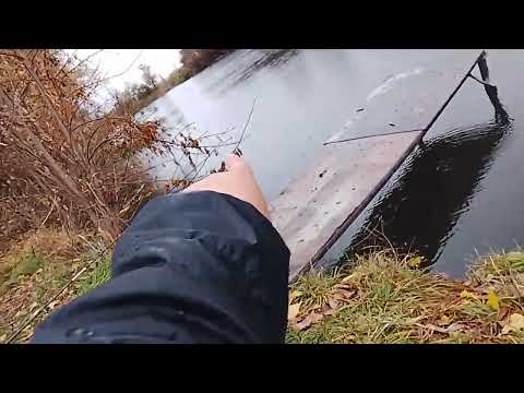 Видео: Рыбалка #донка
