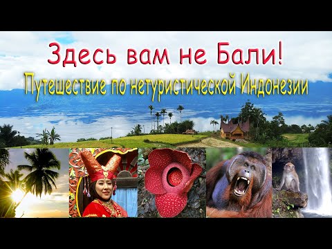 Видео: Здесь вам не Бали! Путешествие по нетуристической Индонезии. Остров Суматра.