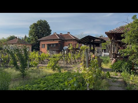 Видео: Типичный дом в болгарской деревне