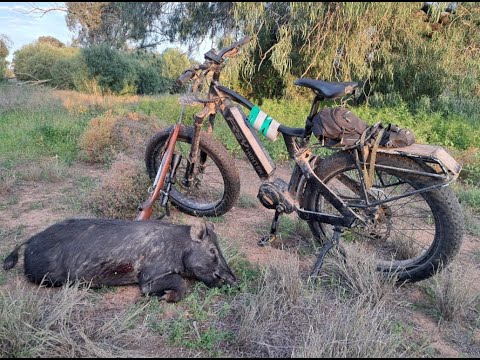 Видео: Итоги последней охоты.