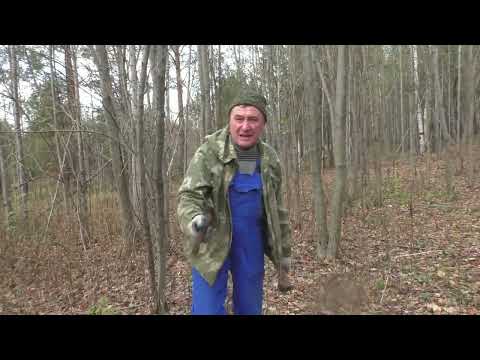 Видео: Короткий выезд на металлокоп.