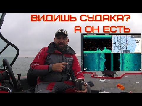 Видео: как показывает рыбу эхолот на примере LOWRANCE ELITE TI 2 12 и FS9  с датчиком  ActiveTarget Live,