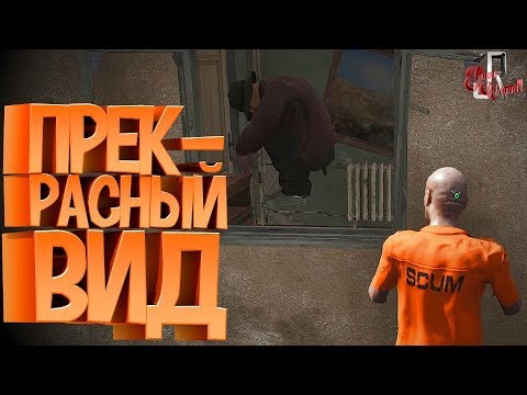Видео: Прекрасный вид ( SCUM / PUBG / CS GO )