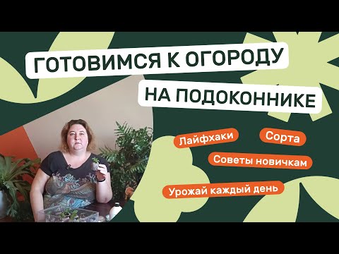 Видео: Как вырастить огород на подоконнике. Советы агронома