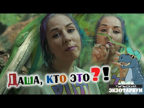 Видео: ПЛЕТЕВИДНАЯ ЗМЕЯ / Ahaetulla prasina