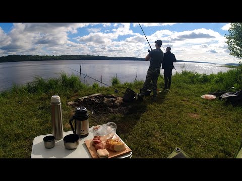 Видео: Первая Рыбалка После Запрета На Волге. Разведка На Фидеры. Утренняя рыбалка.
